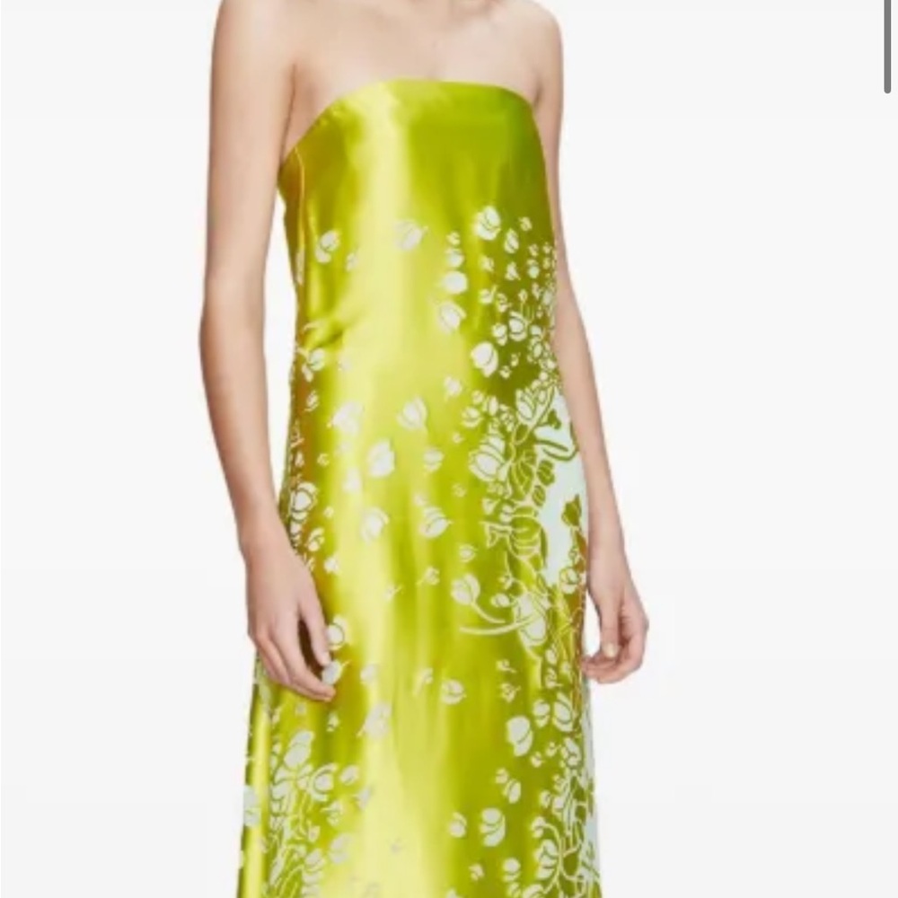 Christopher Esber Lime Green Floral Maxi Dress - Picture 4 of 5